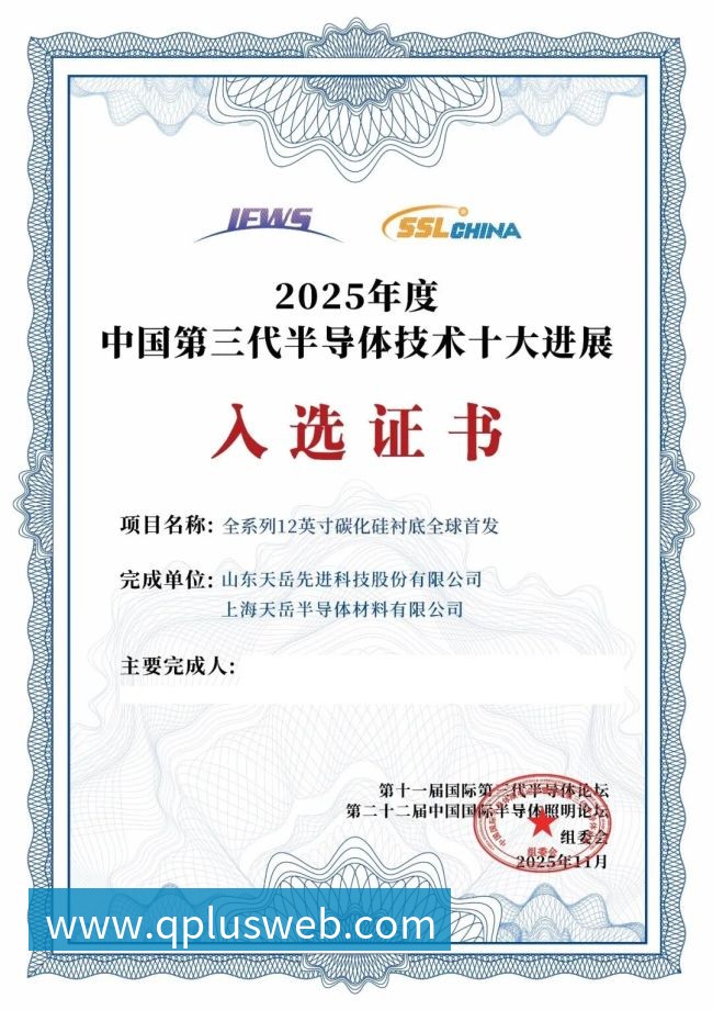 飞盘专题：深入解析广州飞盘队的技术特点与战术运用